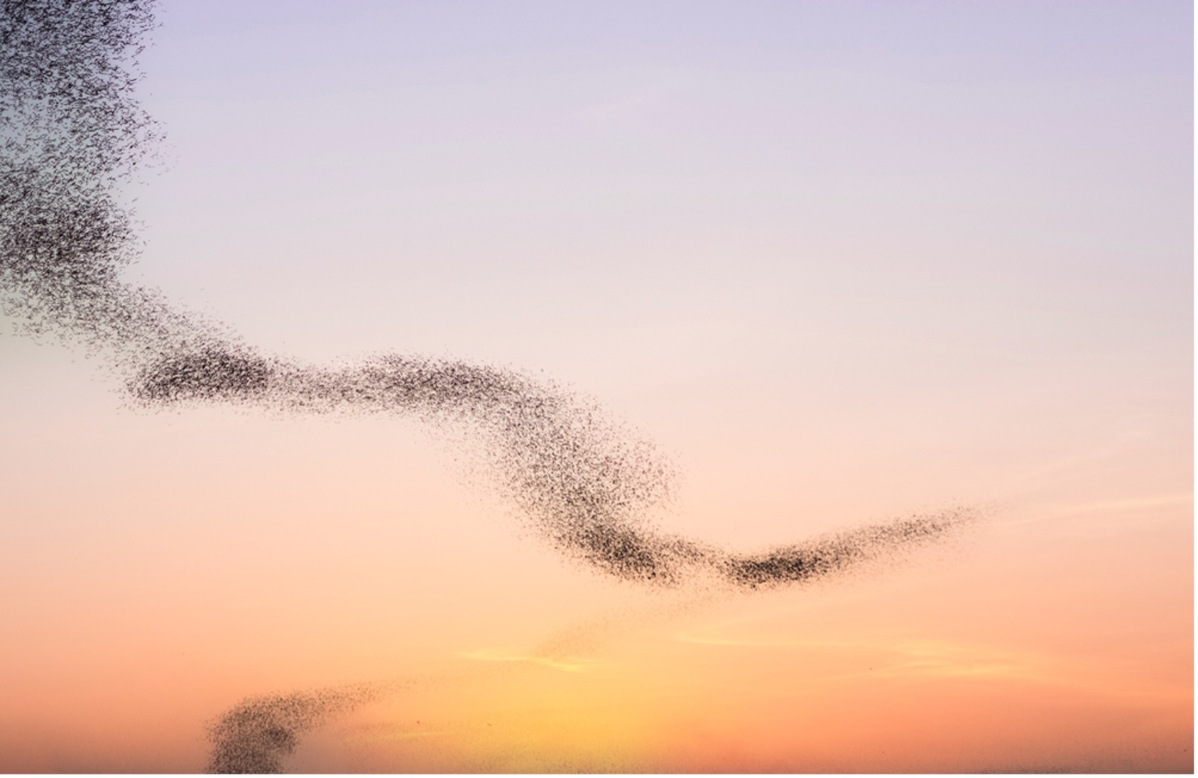 Swarm learning is simplifying the complexities of AI